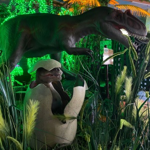 Фото от владельца Динозаврия, детский развлекательный комплекс