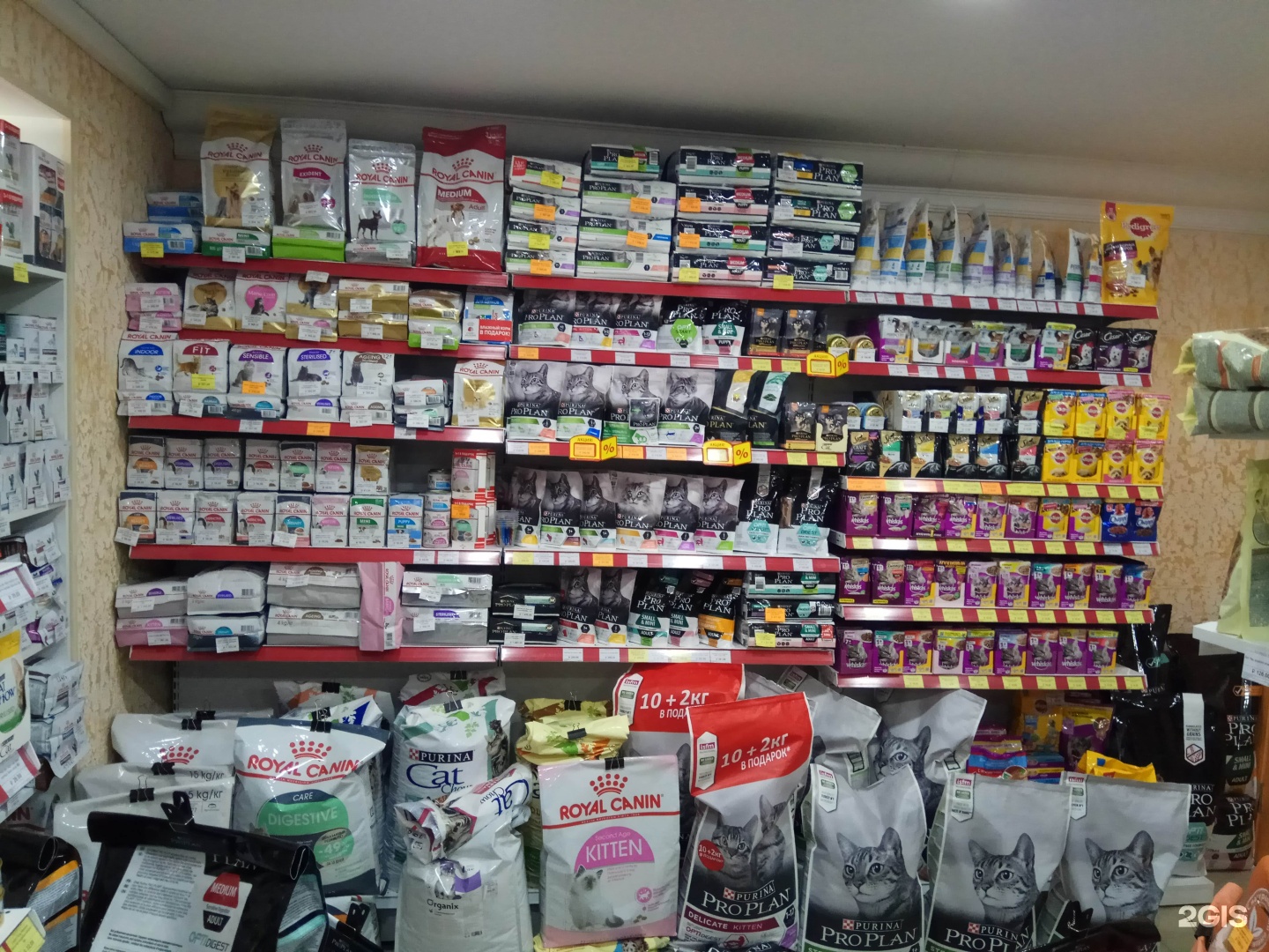 пушистики зоомагазин казань декабристов 189. зоомагазин пушистик. пушистик магазин для животных минеральные воды. пушистик зоомагазин. нептун саратов зоомагазин.