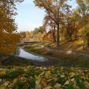 Фото от владельца Царицыно, парк культуры и отдыха