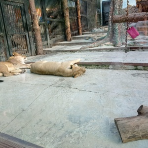 Фото от владельца Екатеринбургский зоопарк