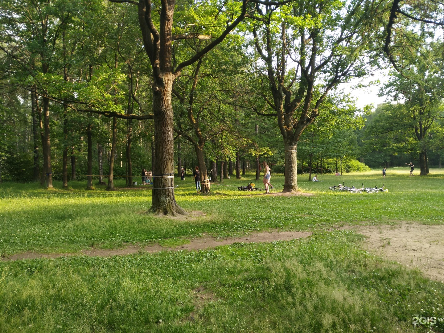 Green park санкт петербург. Удельный парк в Санкт-Петербурге. Пионерский парк Санкт-Петербург. Удельный лесопарк СПБ. Шулаволский парк Санкт-Петербург.