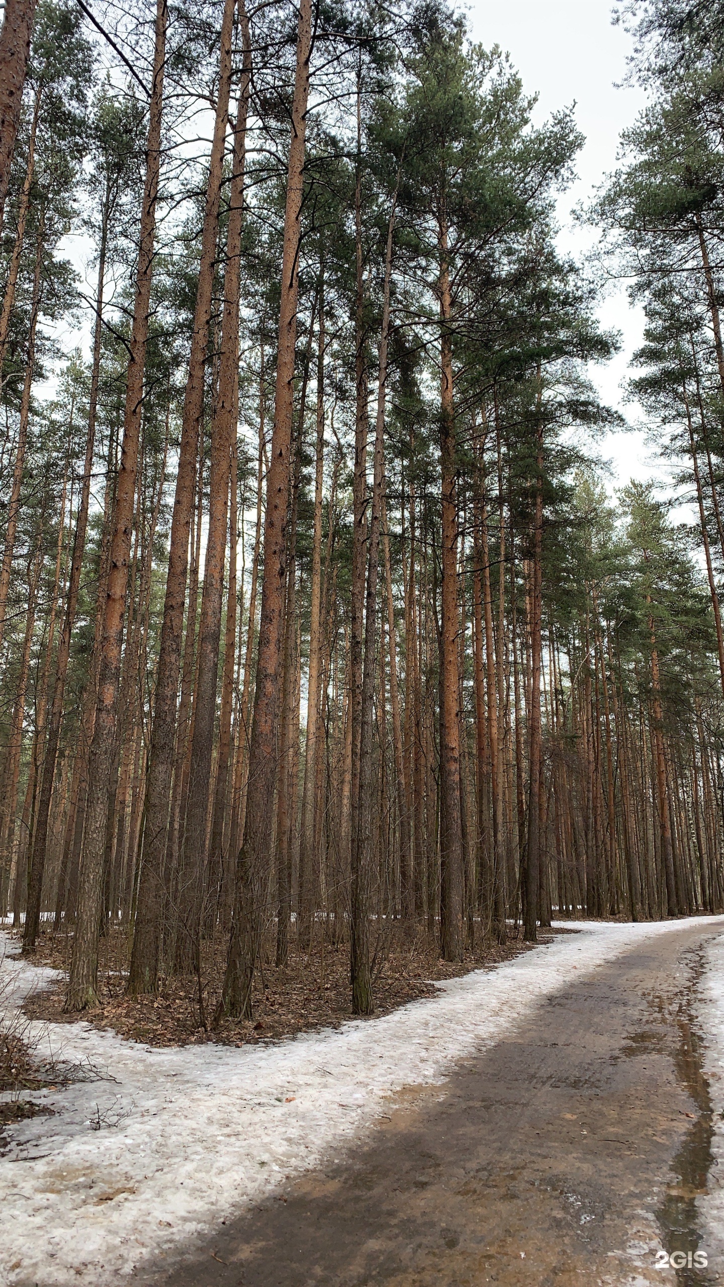 Парк «победа» Сосновского городского поселения;. Сосновский город.