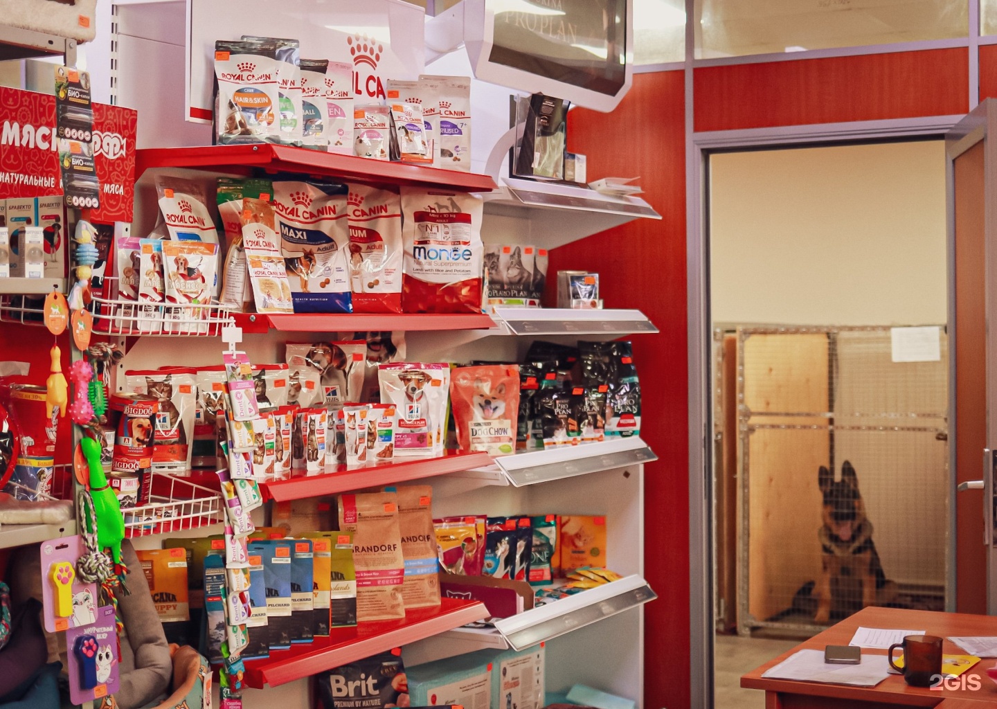 телефон ветеринарной клиники хабаровска. юнивет ветклиника хабаровск краснореченская 149.