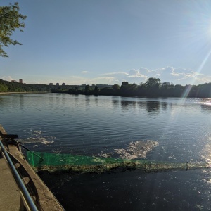 Фото от владельца Фили, парк культуры и отдыха