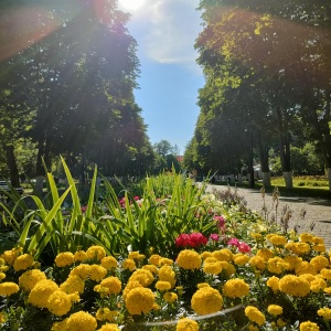 Фото от владельца Парк культуры и отдыха им. Ю.А. Гагарина