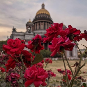 Фото от владельца Исаакиевский собор, государственный музей-памятник