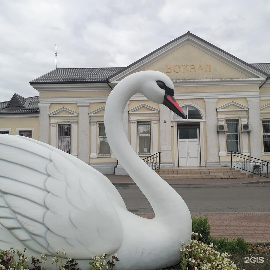 Балтийск проспект ленина