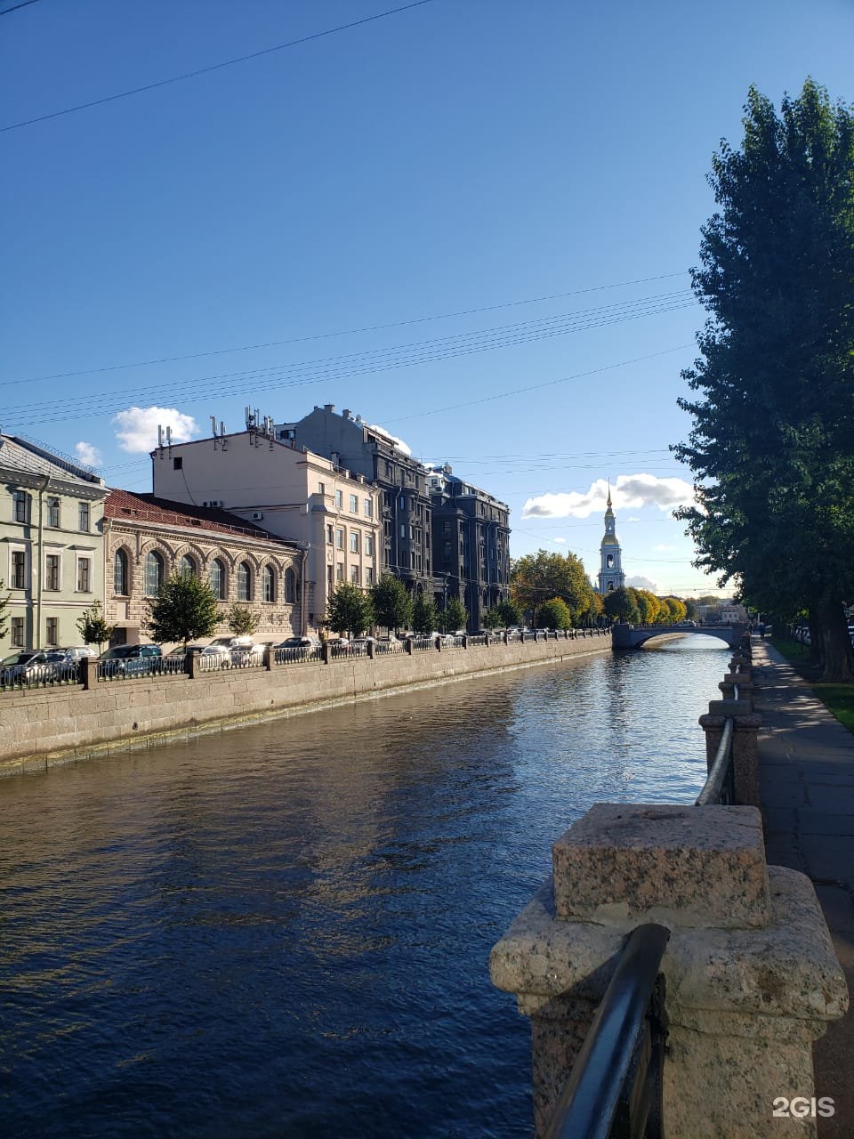 Премьера петербурга