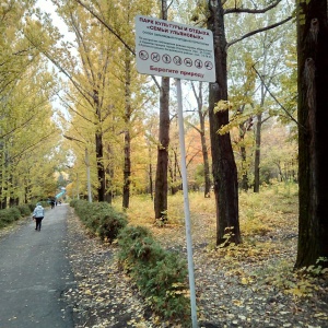 Фото от владельца Семья, городской парк