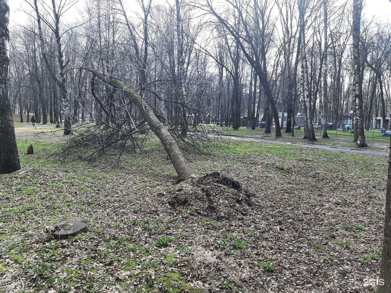 Чудо парк просп ленина 010 фото. Парк Юбилейный Звенигород. Парк Юбилейный Калининград. Парк Юбилейный Уфа. Юбилейный парк Ярославль.