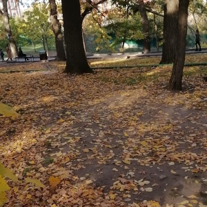 Фото от владельца Городской парк