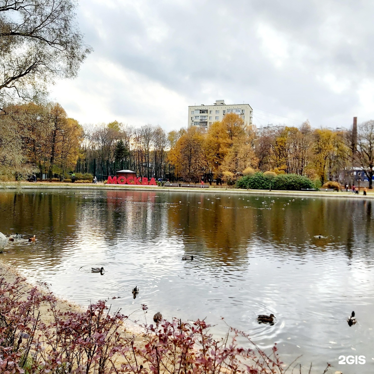 парк дубки в москве