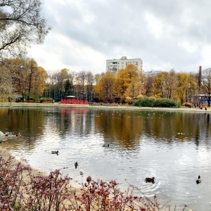 Фото от владельца Дубки, парк