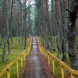 Фото от владельца Куршская коса, национальный парк