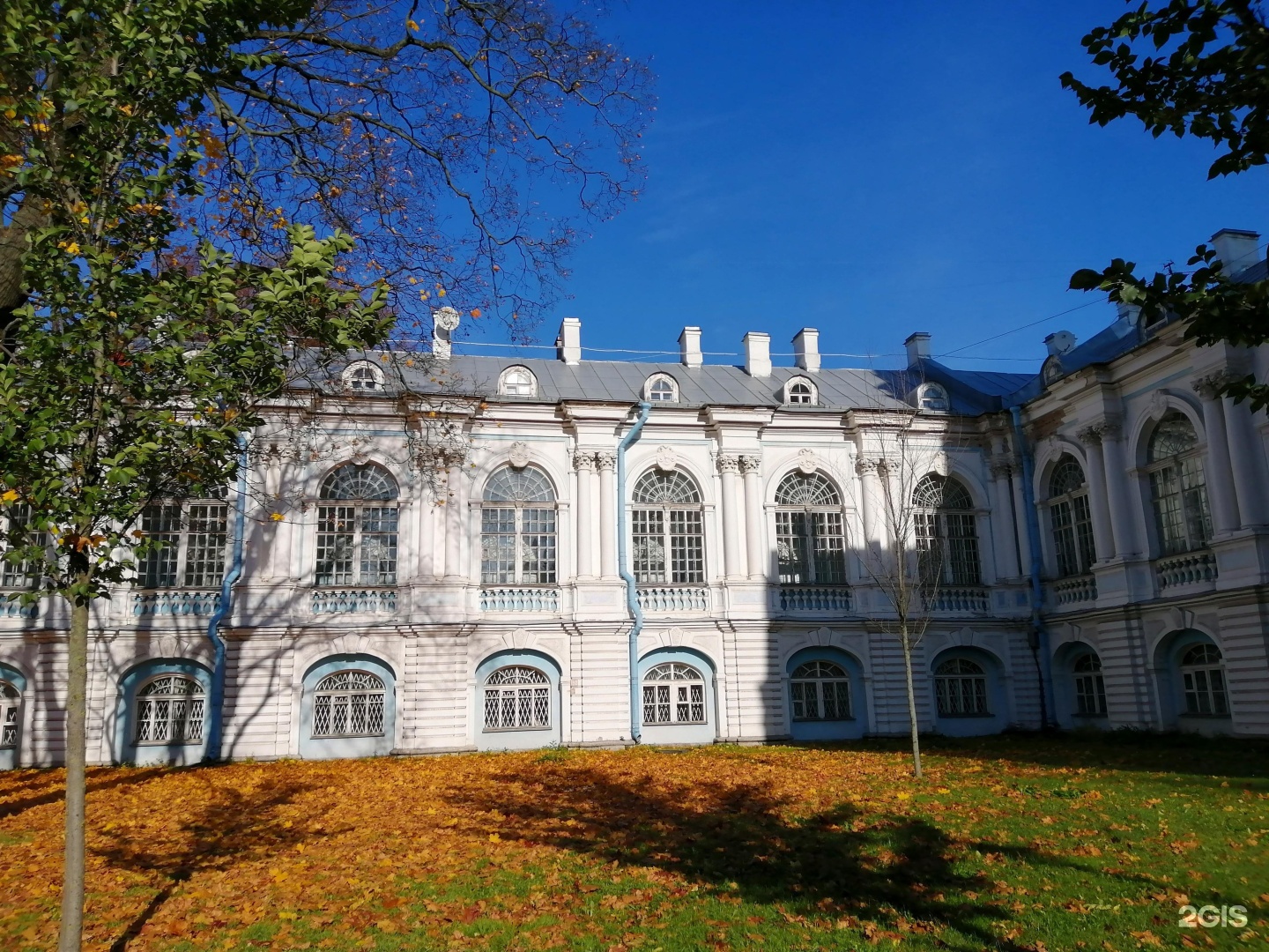 государственный университет в санкт петербурге