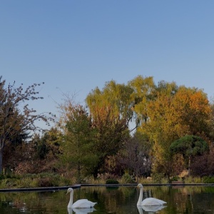 Фото от владельца Ботанический сад г. Алматы