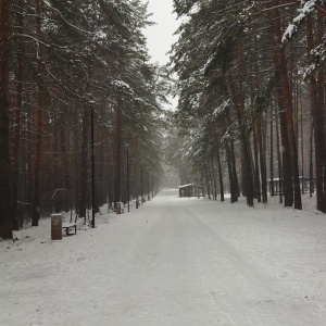 Фото от владельца Заельцовский, парк культуры и отдыха