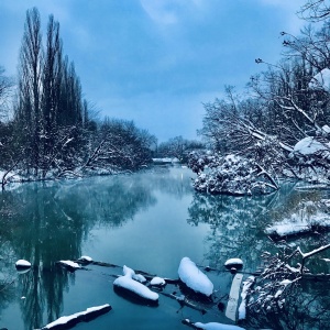 Фото от владельца Солнечный остров, парк культуры и отдыха