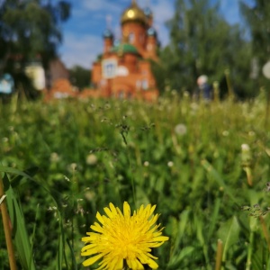 Фото от владельца Храм во имя святого преподобного Серафима Саровского