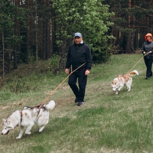 Фото от владельца Стелла, туристическая компания