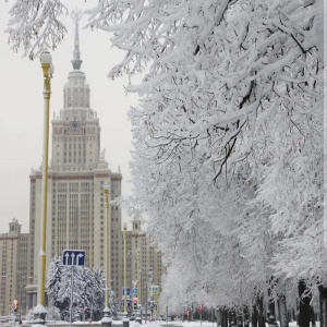 Фото от владельца Московский государственный университет им. М.В. Ломоносова