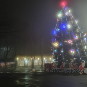 Фото от владельца Парк Победы