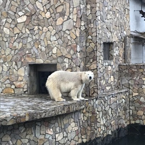 Фото от владельца Ленинградский Зоопарк