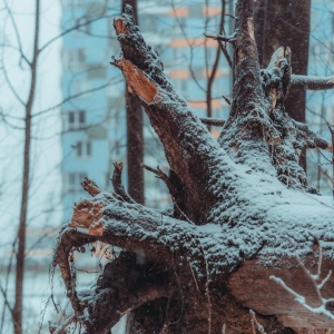 Фото от владельца Лосиный остров, национальный парк