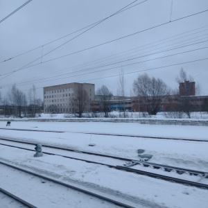 Фото от владельца Новгородский государственный университет им. Ярослава Мудрого