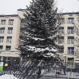 Фото от владельца Детская городская поликлиника №118, ГБУЗ