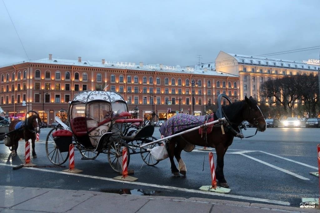 24 ноября спб