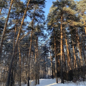 Фото от владельца Первая городская лыжня, лыжная база