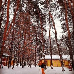 Фото от владельца Лесная крепость, загородный комплекс