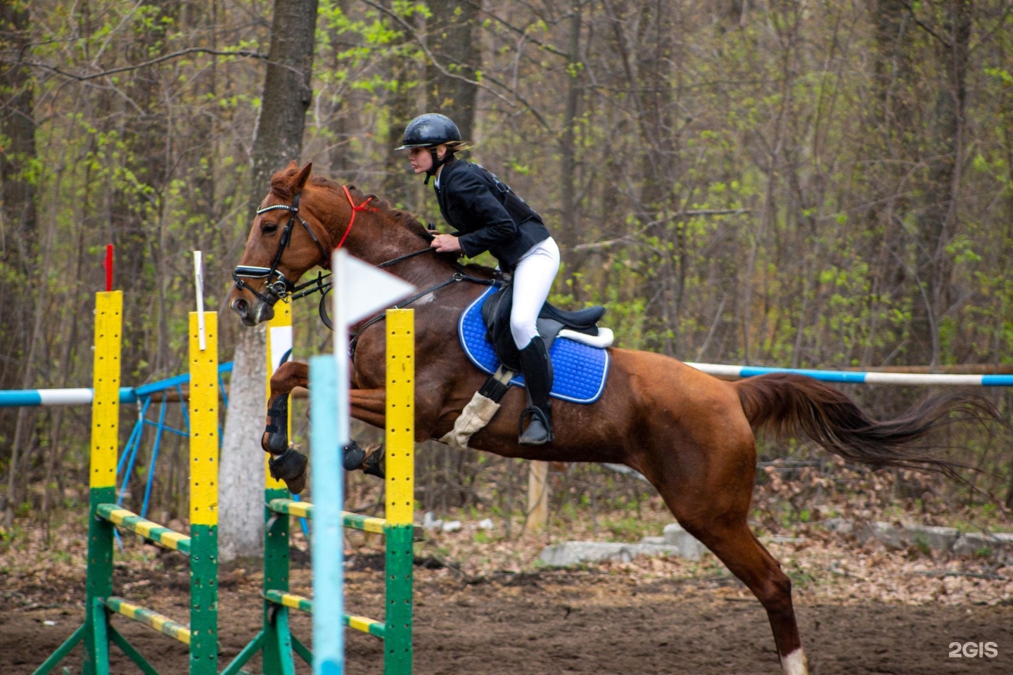 Спортивная череповец. КСК Легион Самара. Чемордачка, 61 к3 конноспортивный манеж. Конноспортивная улица дом 21 Челябинск.