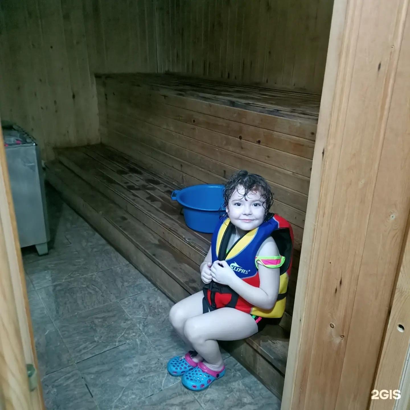 Дельфин