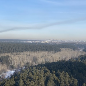 Фото от владельца Заельцовский, парк культуры и отдыха