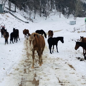 Фото от владельца Сункар, гостиничный комплекс