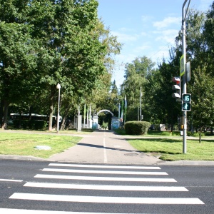 Фото от владельца Лианозовский, парк культуры и отдыха