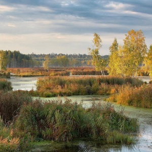 Фото от владельца Лосиный остров, национальный парк