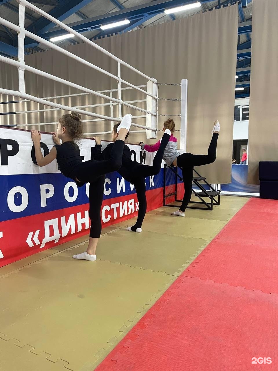 Спортивные династии