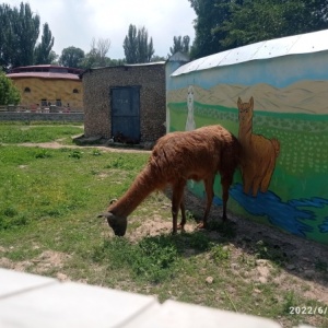 Фото от владельца Алматинский зоопарк