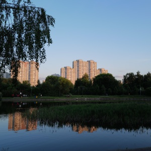 Фото от владельца Алтуфьево, парк-усадьба