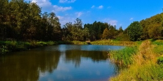 Веслево: Коттедж Веслево Клуб