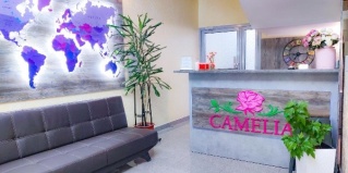 Анапа: Отель Camelia