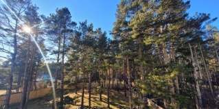 Аршан: Коттедж Mon Amour