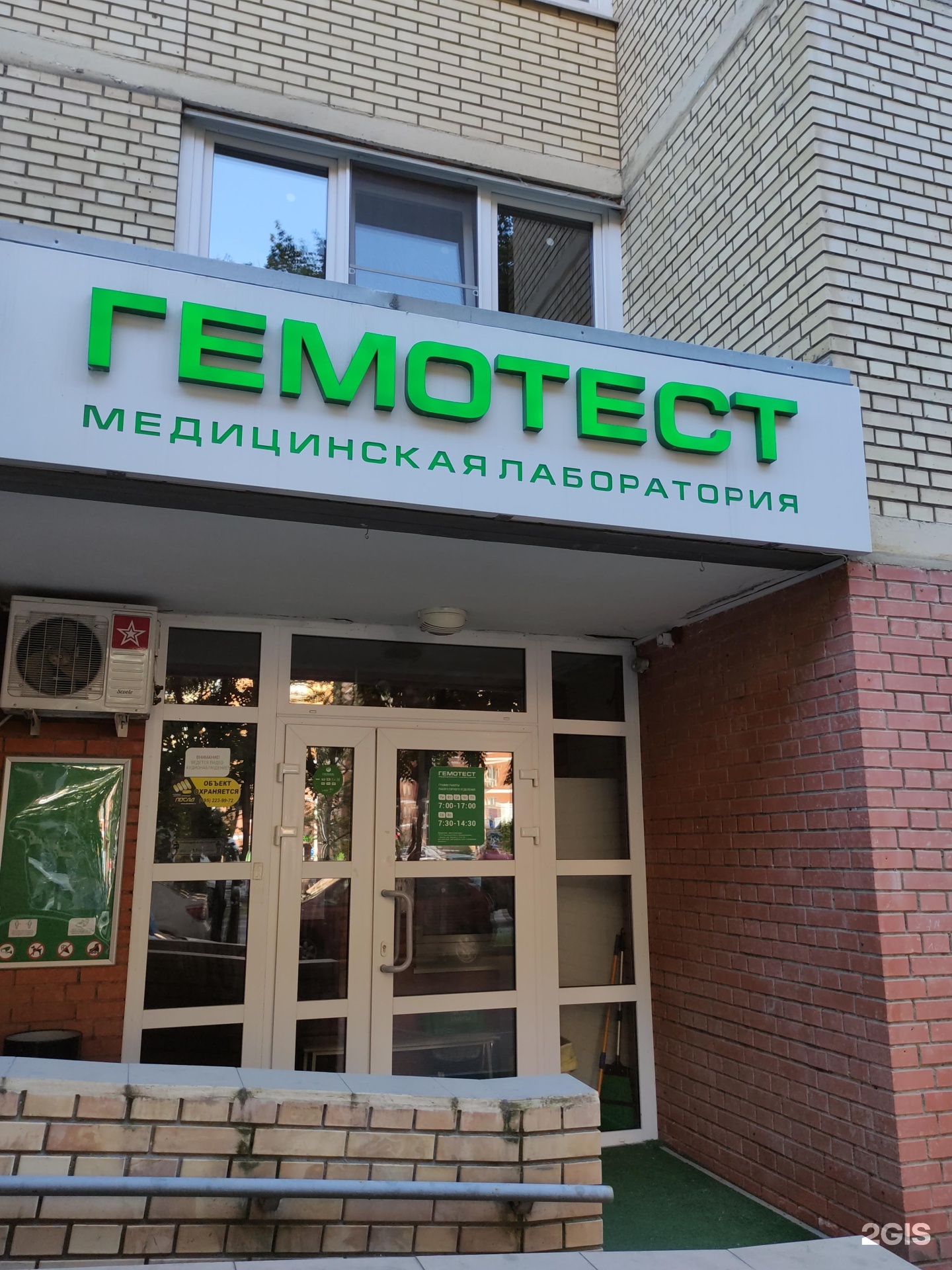 Гемотест щелково 3. Гемотест щелково 3