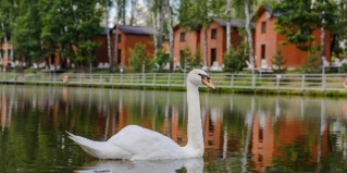 Починки: Турбаза Золотая рыбка