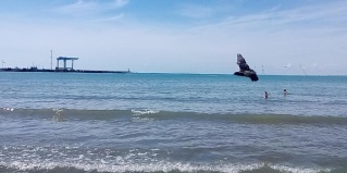 Анапа: Гостевой дом Риф