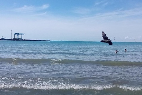 Анапа: Гостевой дом Риф