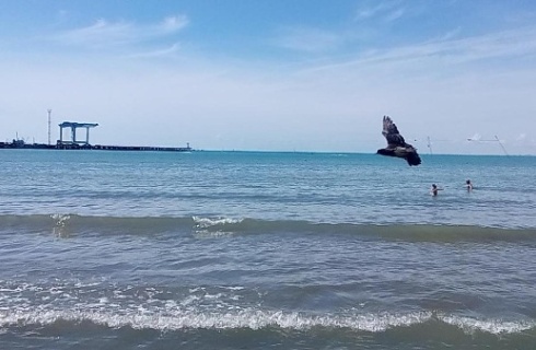 Анапа: Гостевой дом Риф